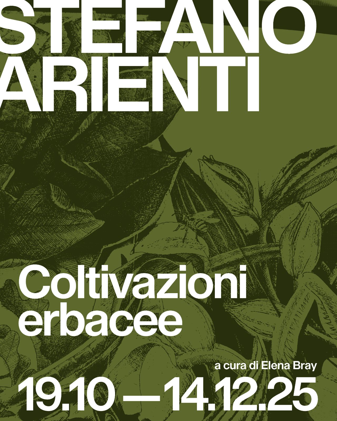 Coltivazioni Erbacee - Palazzo Marchi - immagine 2